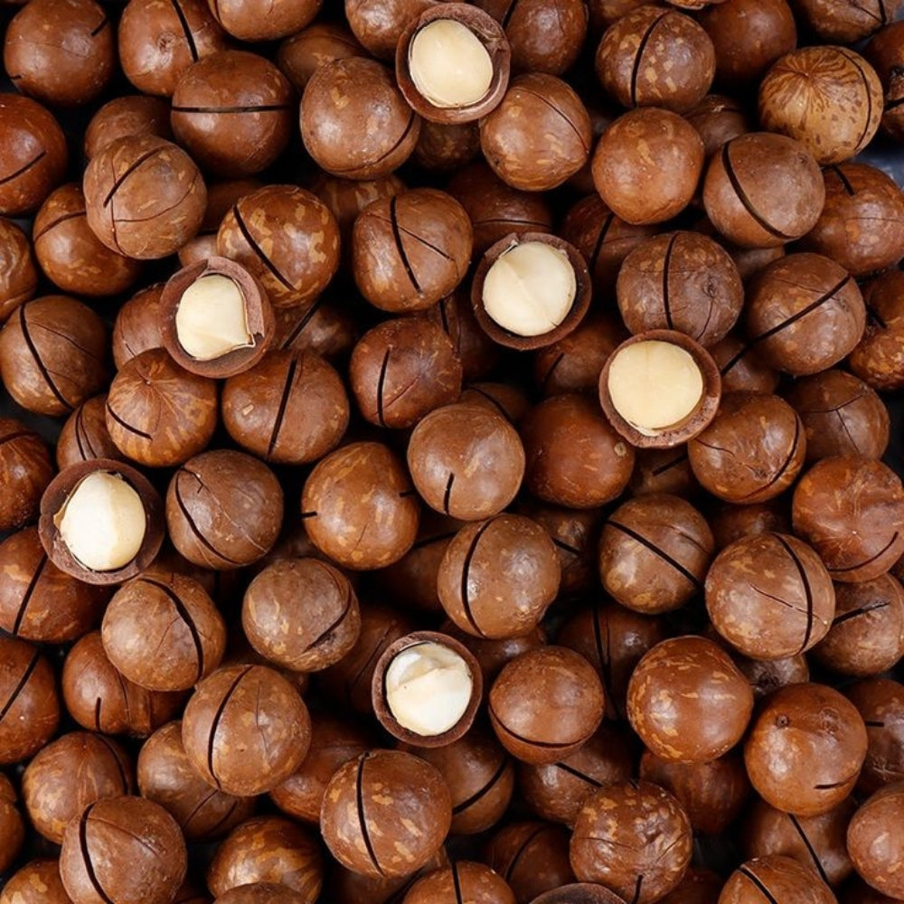 Australian Macadamia Nuts (Macadamia - میکاڈیمیا)