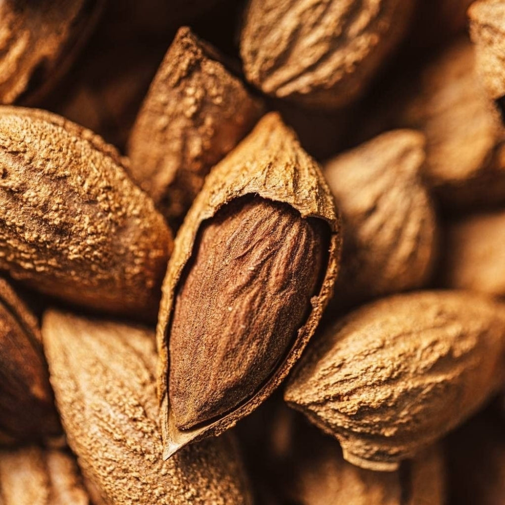 American Almonds With Soft Shell (Kagzi Badam - کاغذی بادام)