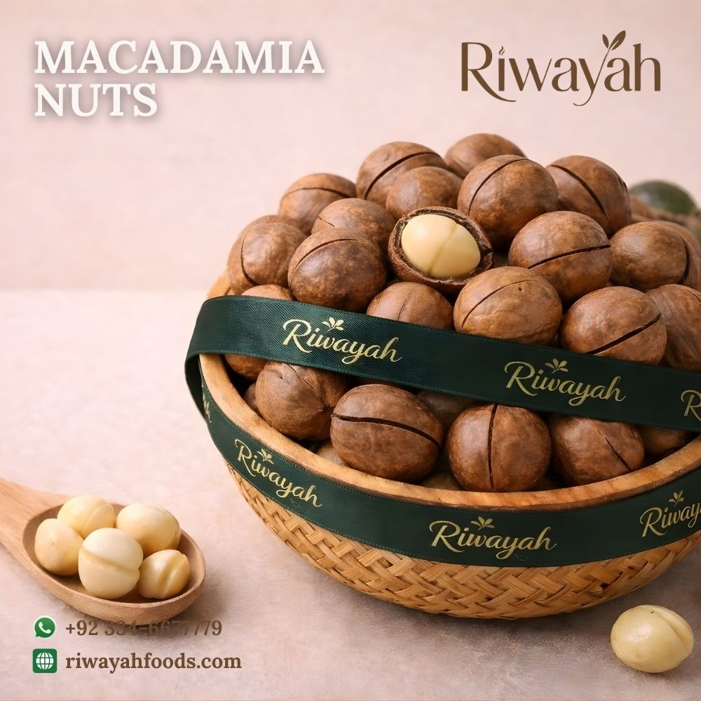 Australian Macadamia Nuts (Macadamia - میکاڈیمیا)